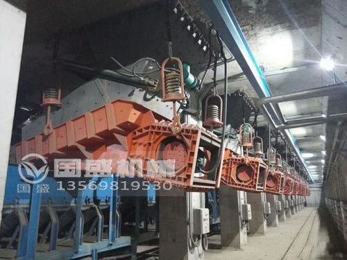 雙質體振動給料機